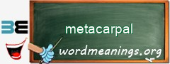 WordMeaning blackboard for metacarpal